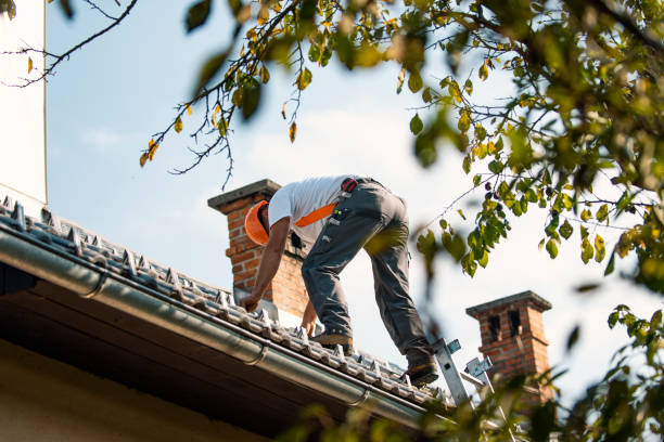 Best Metal Roofing Contractor  in Elverson, PA